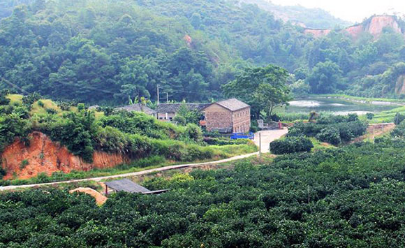 首頁關(guān)于我們